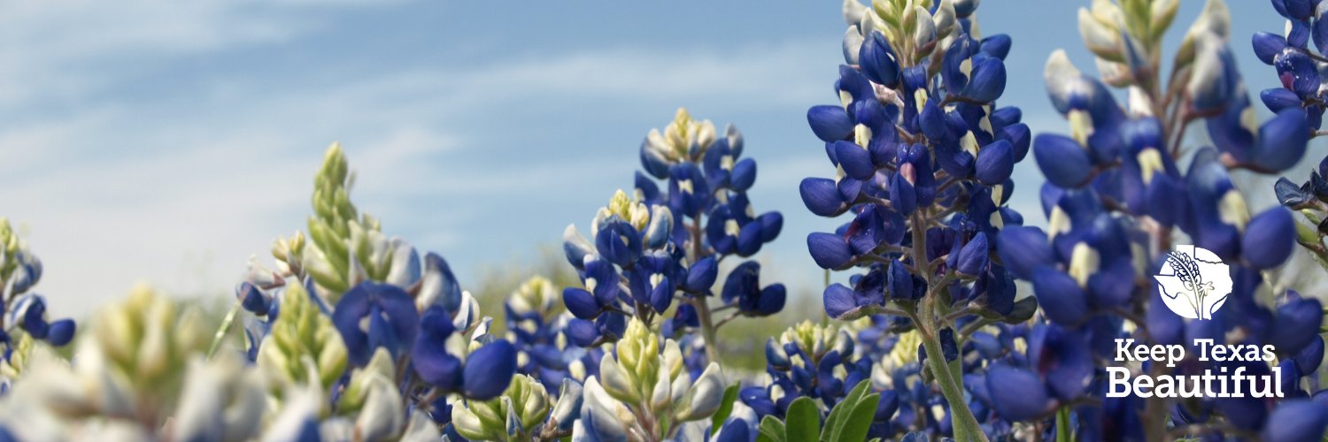 keeptxbeautiful banner