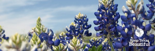 KeepTxBeautiful Profile Banner