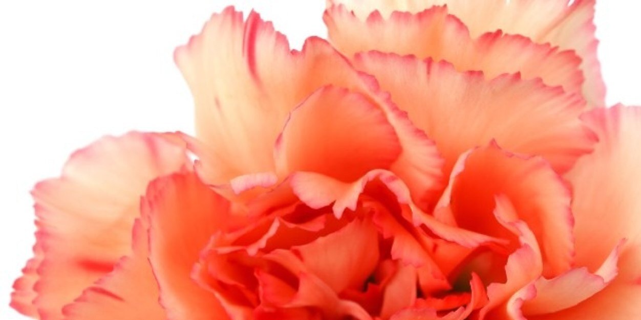 LisaKleinis's profile banner image