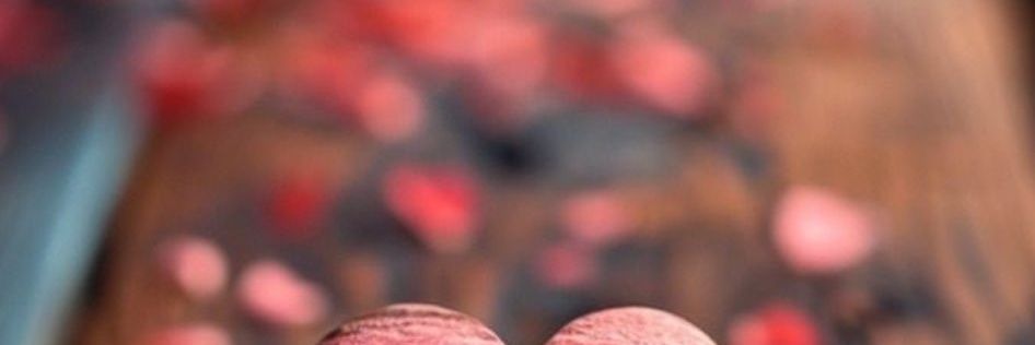 💞نوفه 💞❣️ banner