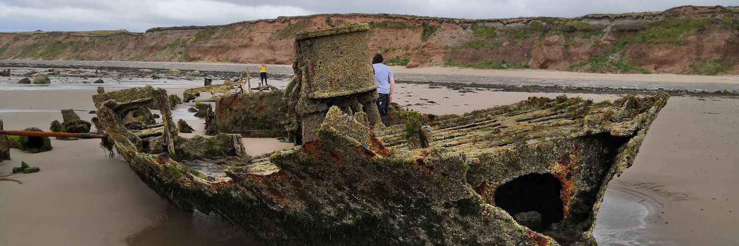 M. Dawn Teare banner