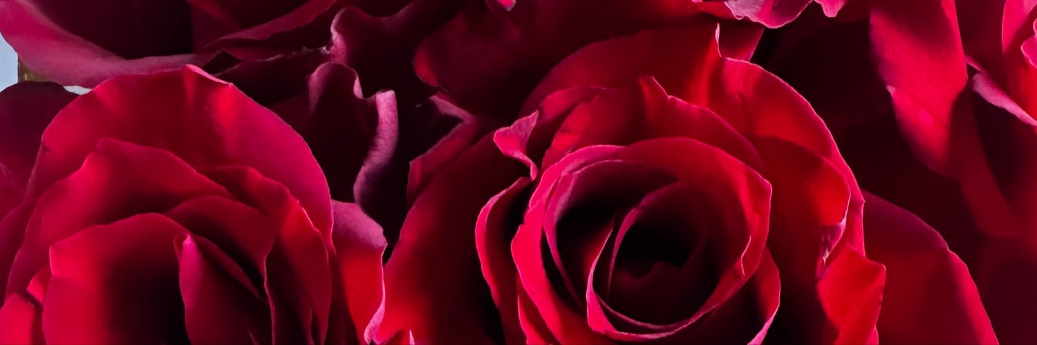 HotDrKaydee_'s profile banner image