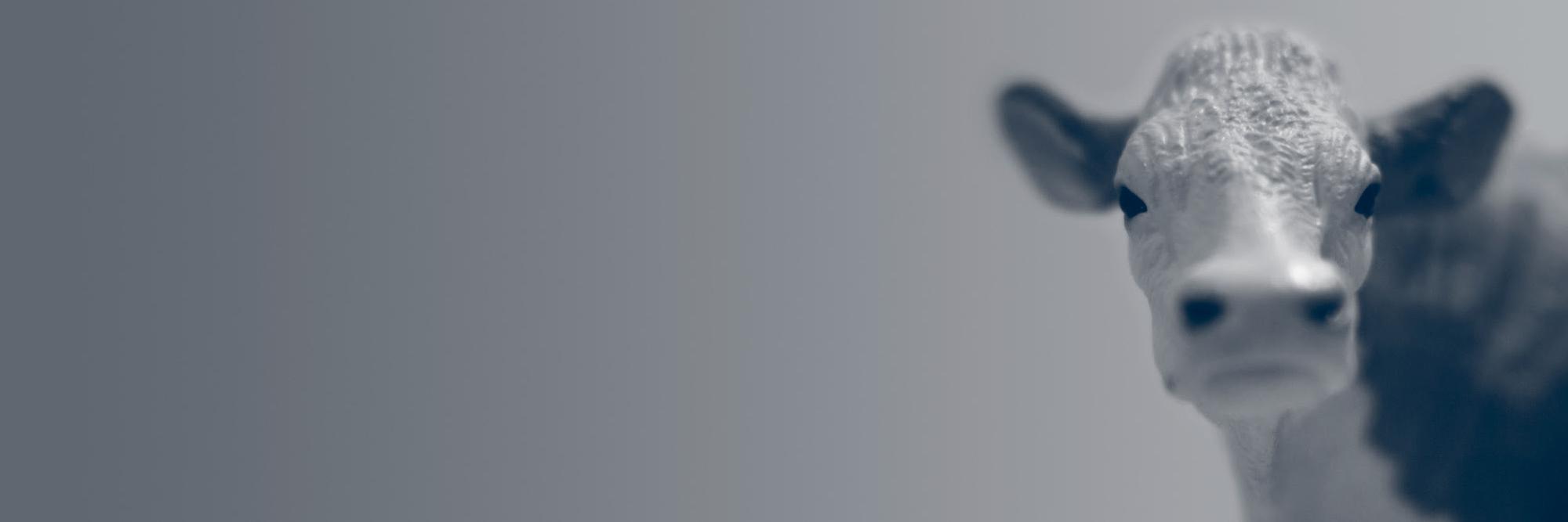 milkisnice1's profile banner image