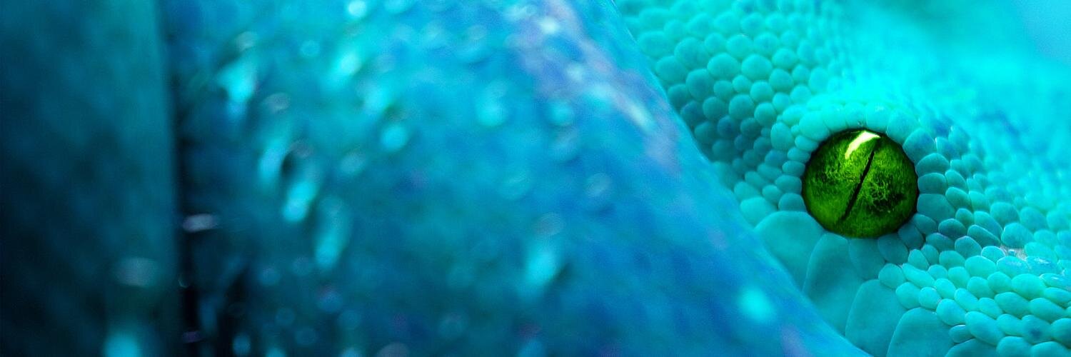 robbertbitter's profile banner image