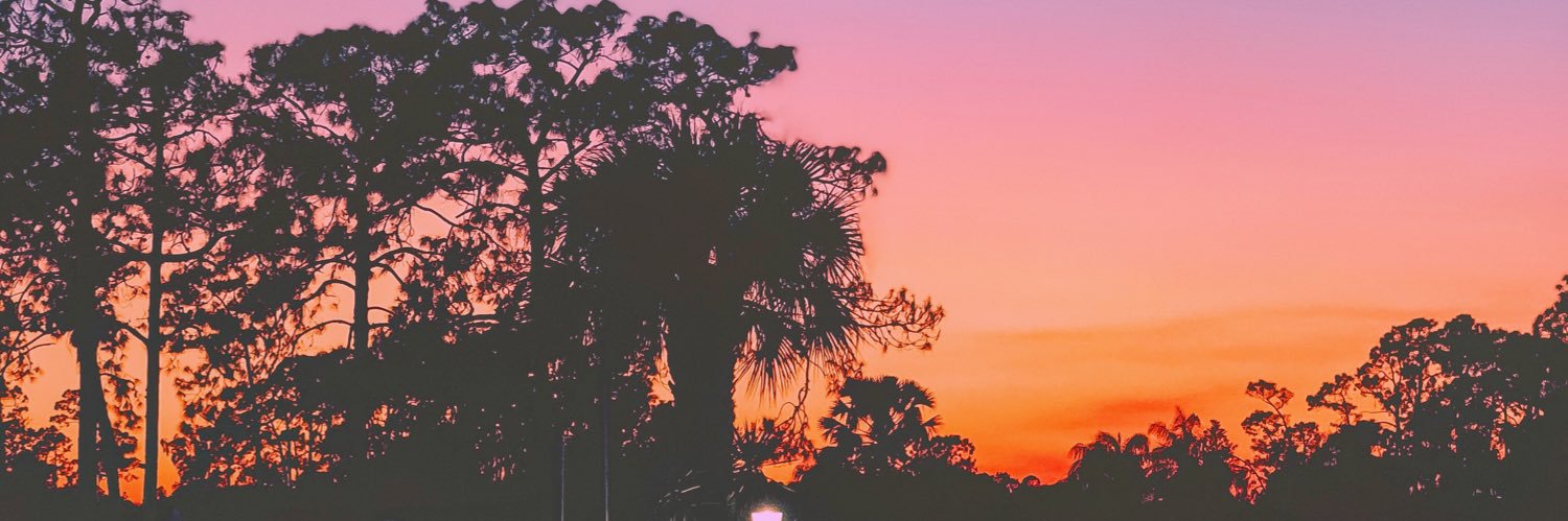 taylorebers's profile banner image