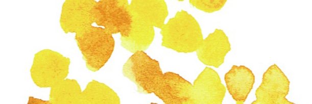 naruseayako's profile banner image