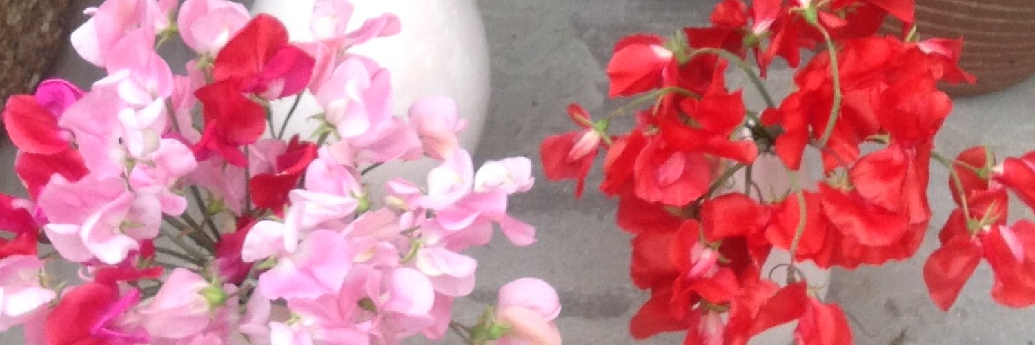 Rachumphries's profile banner image