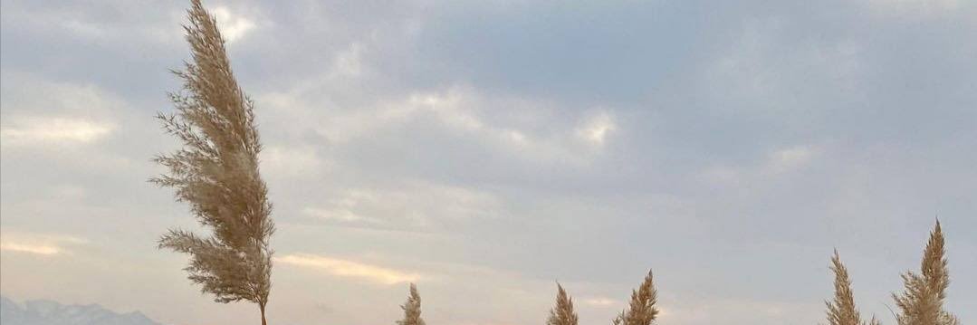 rthath_2017's profile banner image