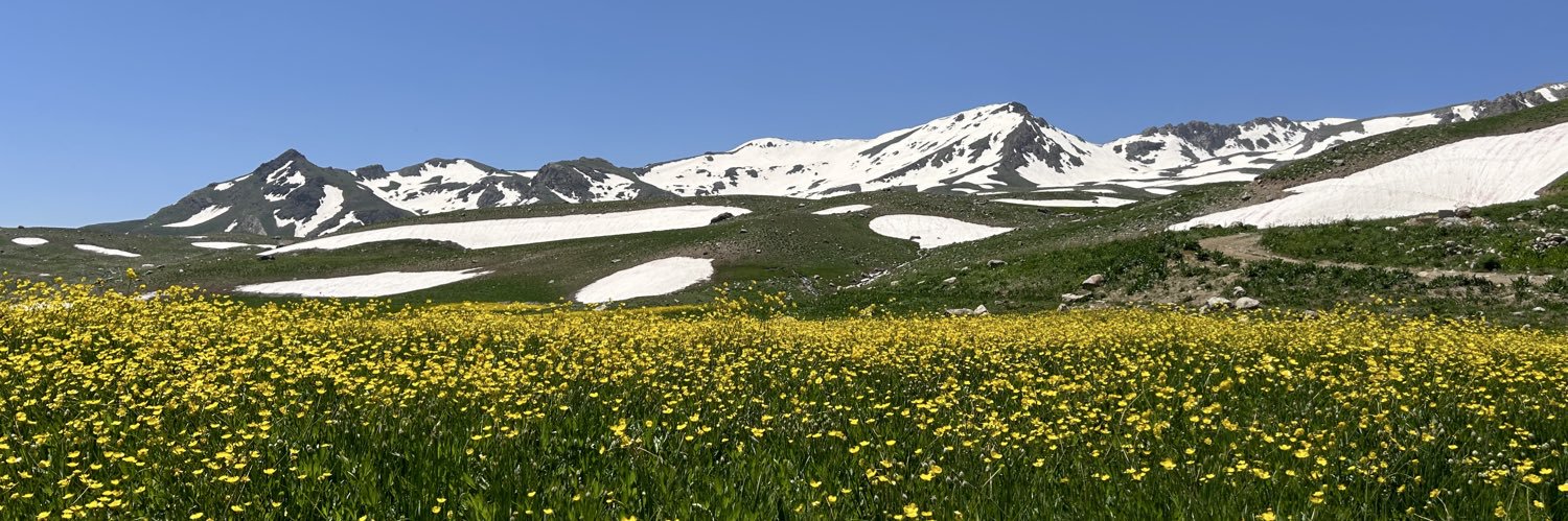 sibossse's profile banner image