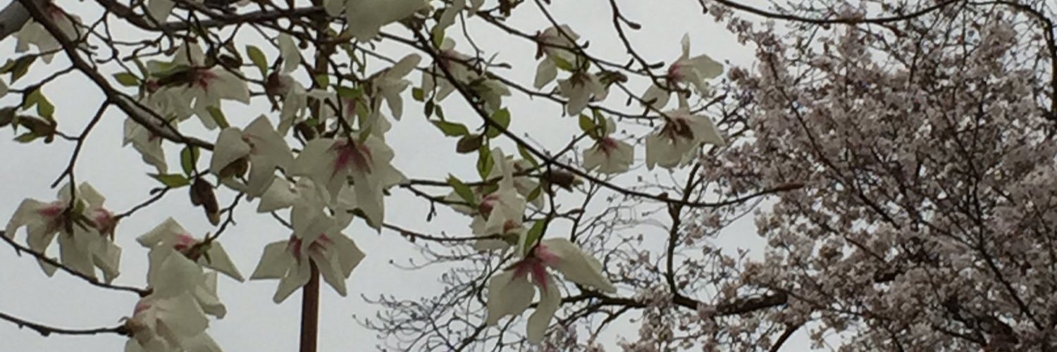 sherry_cherry39's profile banner image