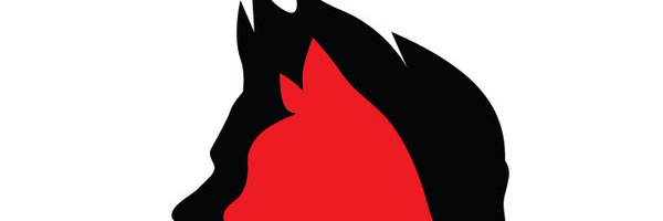 ACatWithNews Profile Banner