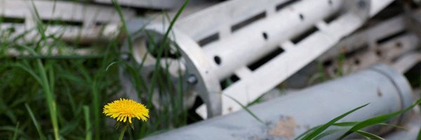 marywareham Profile Banner