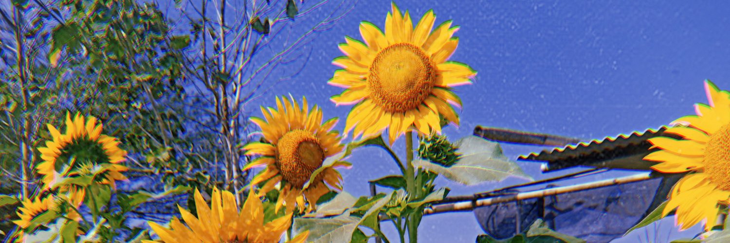 septapuspita_'s profile banner image