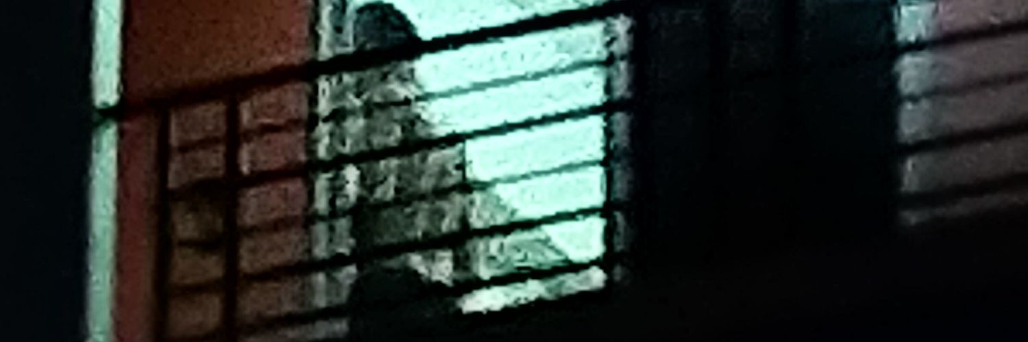 8758T's profile banner image