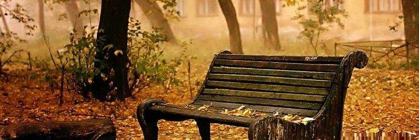 d199558's profile banner image