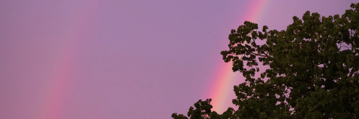 dyllybarr's profile banner image