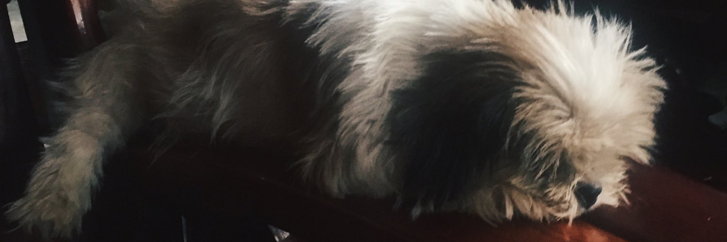 DALEySleep's profile banner image