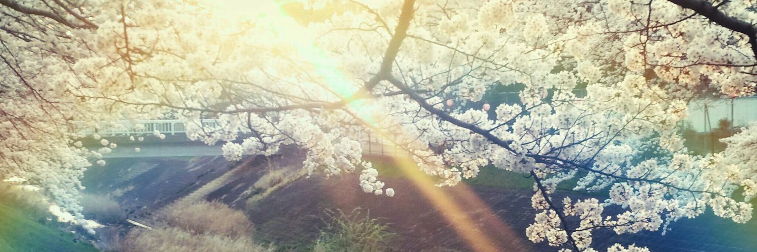 01091116's profile banner image