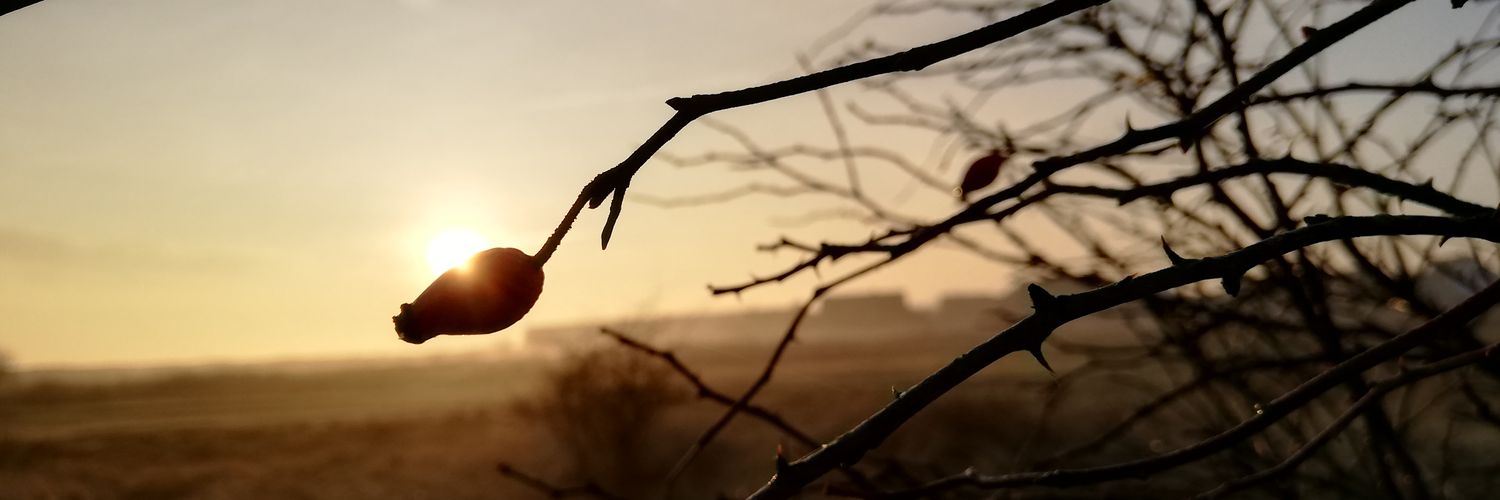 MotzMatz's profile banner image