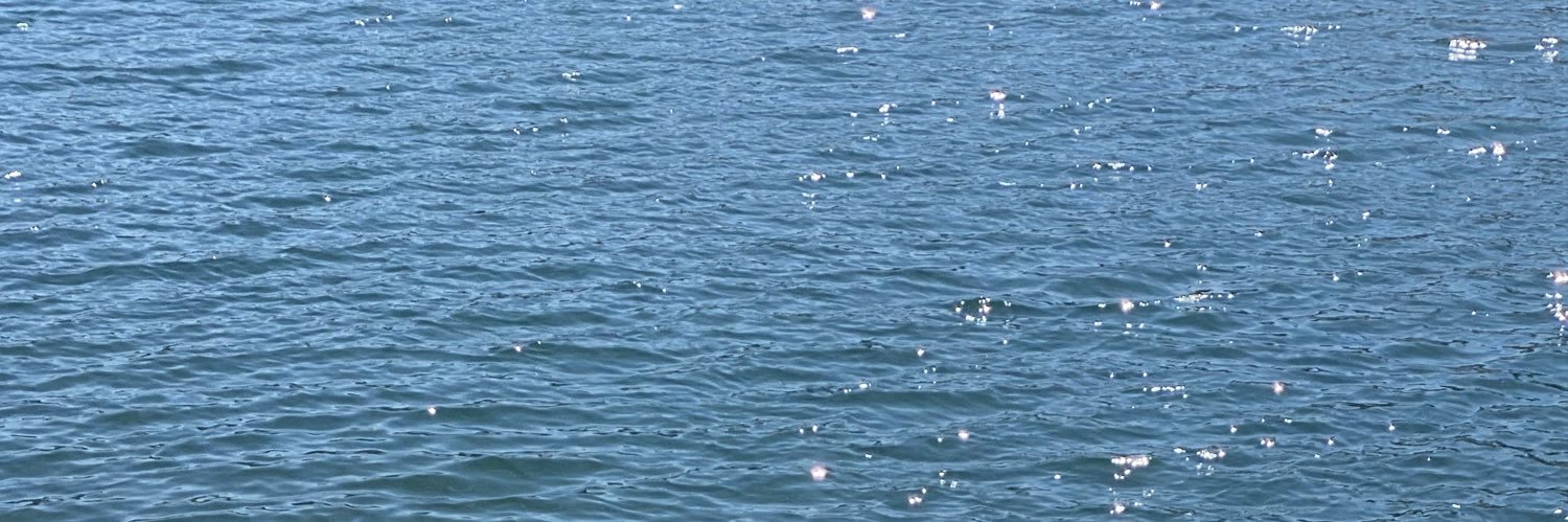 danitricas's profile banner image