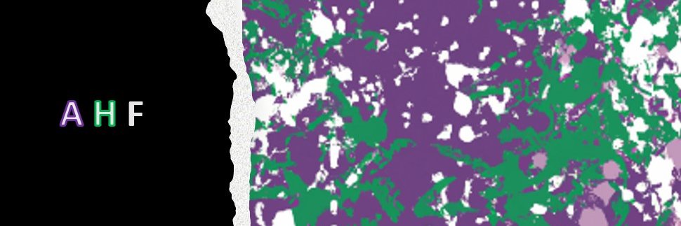 RealityMatters banner