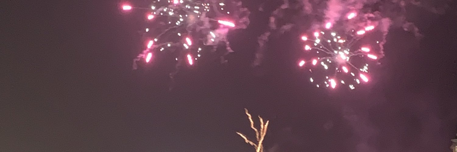 hayley stacey banner