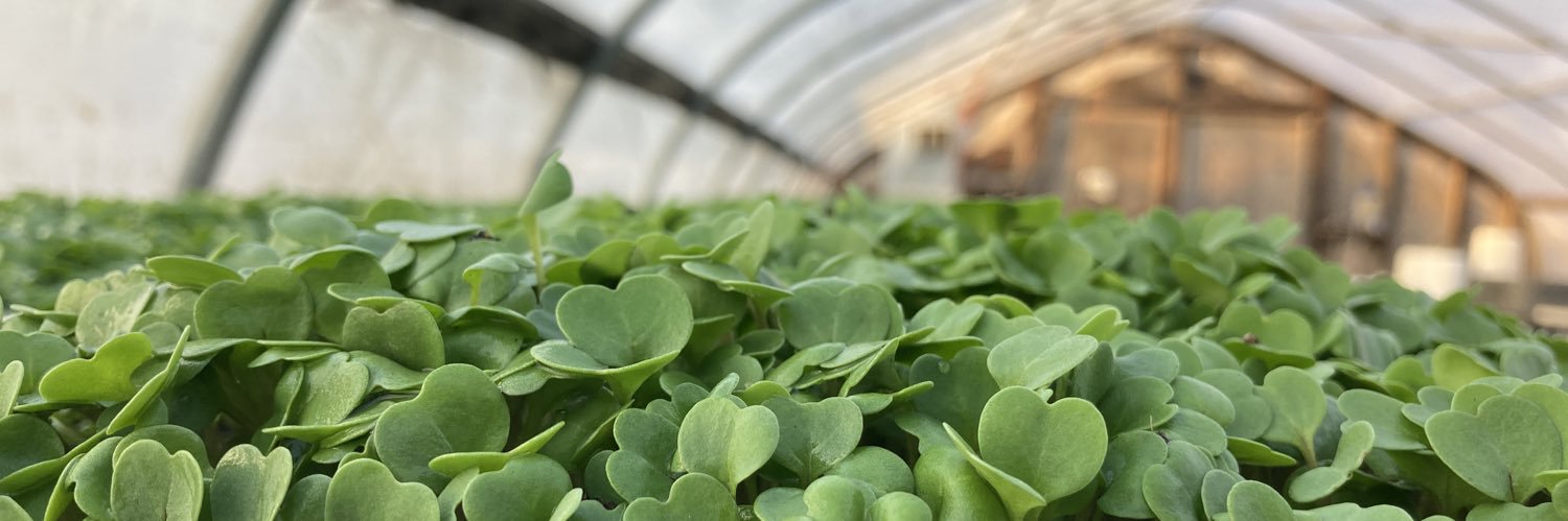 StoutOakFarm's profile banner image