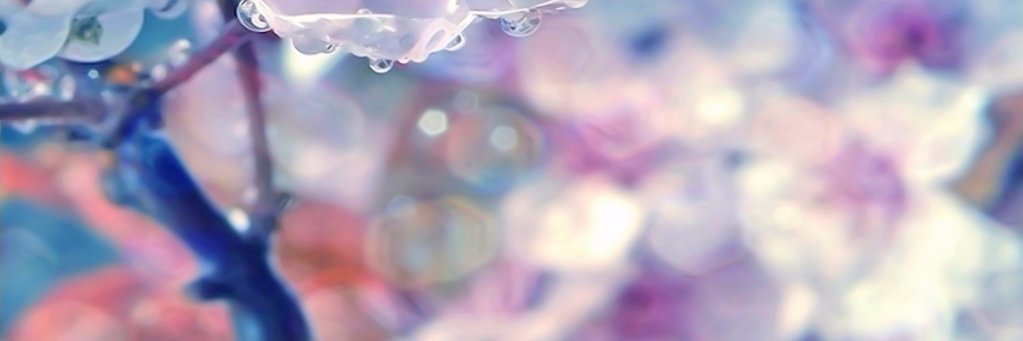 smkrate's profile banner image