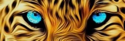 f9090had's profile banner image