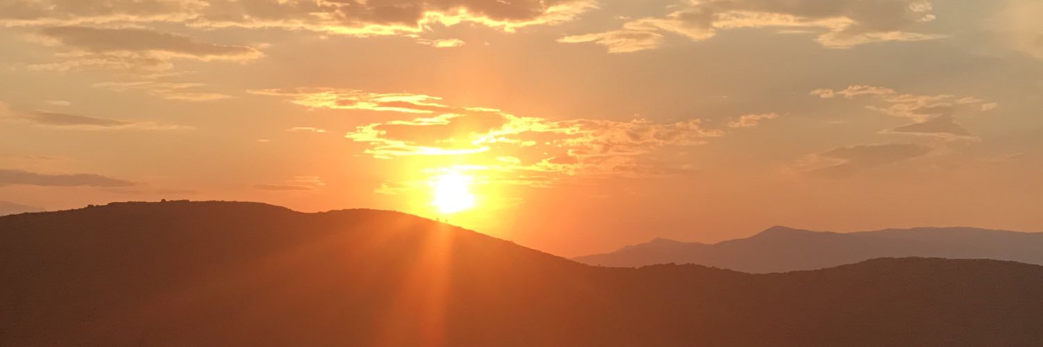 hallmieri's profile banner image