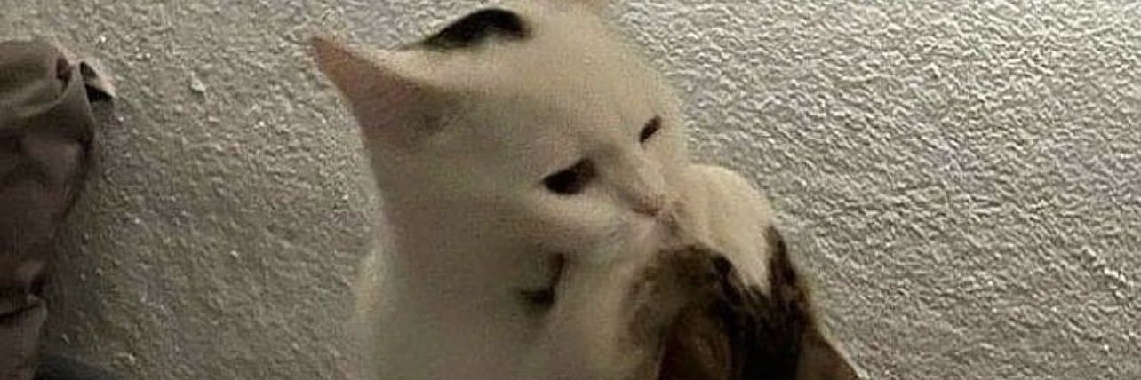 ifoundsome_'s profile banner image