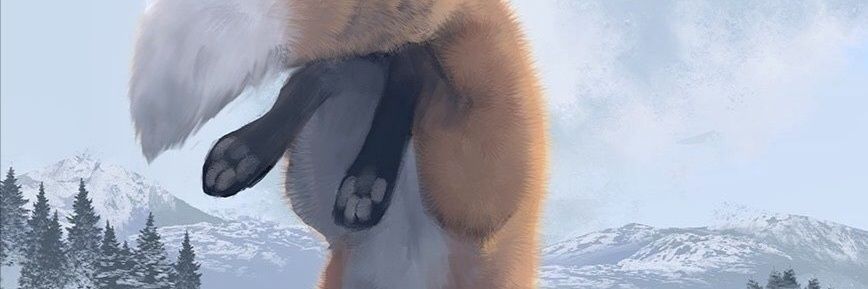 PawFox101's profile banner image