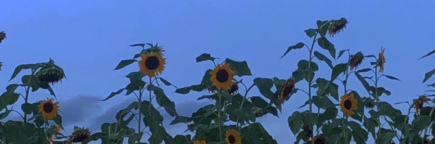 iketaku64's profile banner image