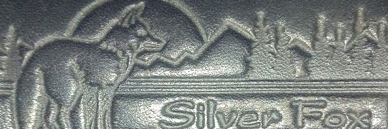 silverfox2003's profile banner image