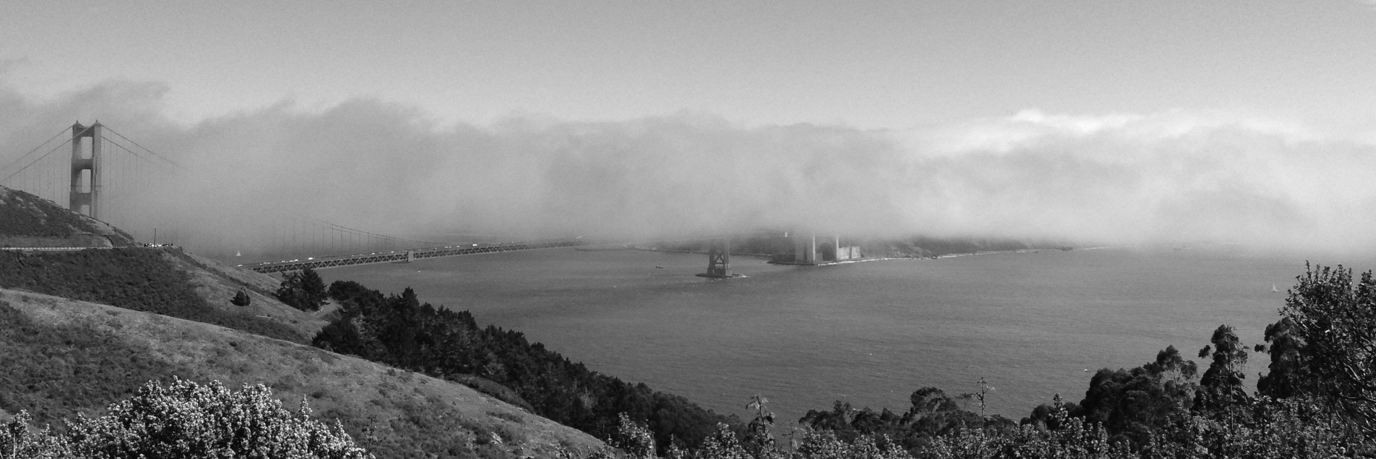 Alexander Davis banner