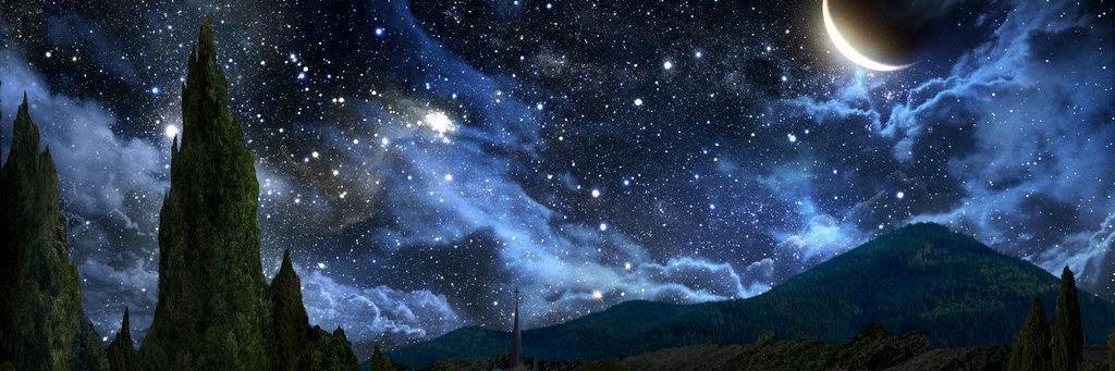 FlowwersDaisy's profile banner image
