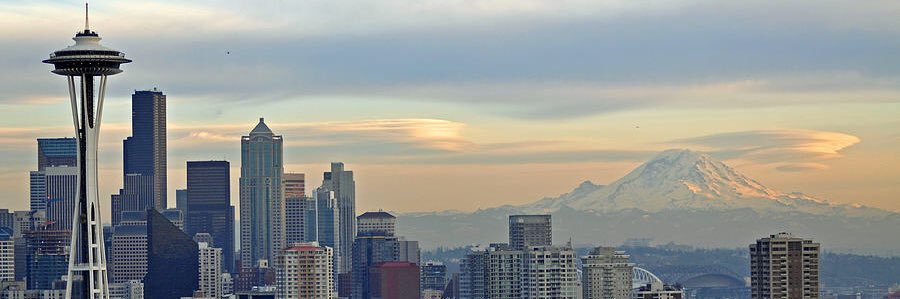 Nicholas Warack banner