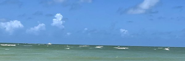 aster7_m Profile Banner
