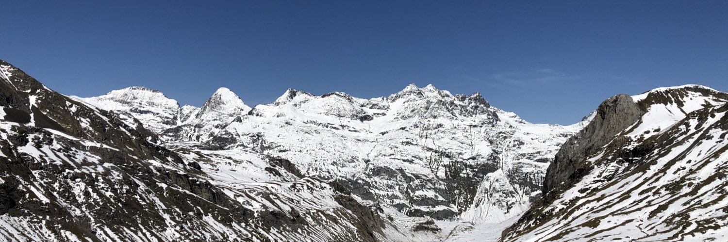 Dani Martinez banner