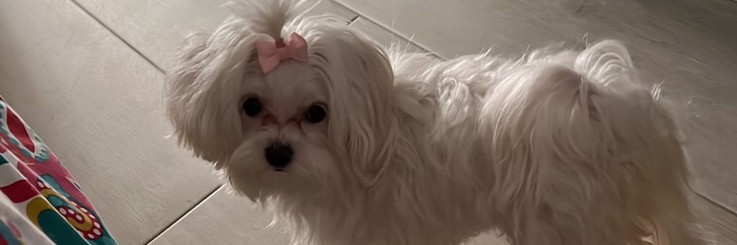 Meri_keit's profile banner image