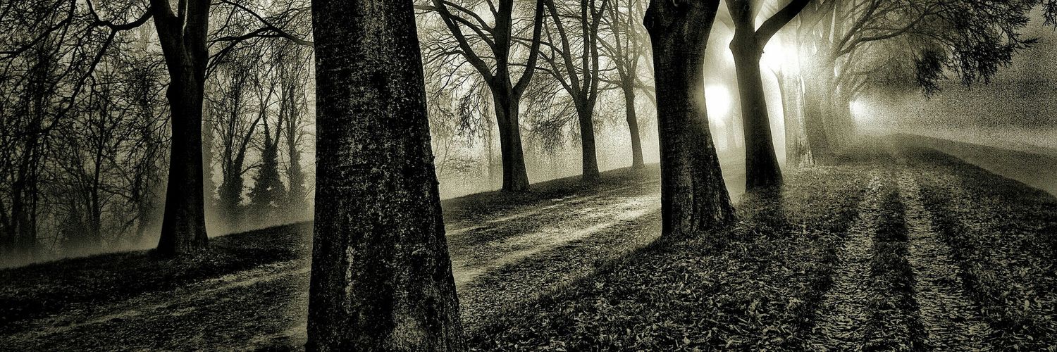 Alloggio Cavour Fe banner