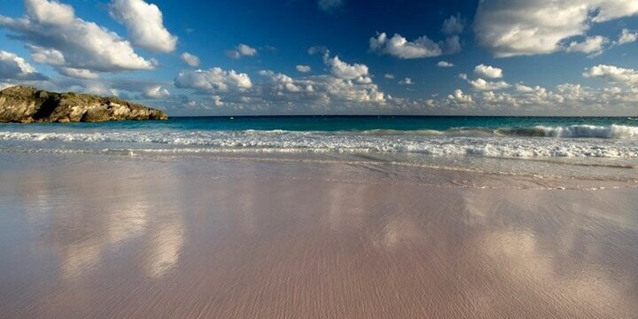 bigtrina's profile banner image