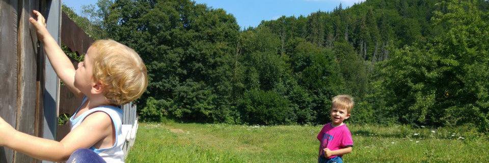 rekaszeru's profile banner image