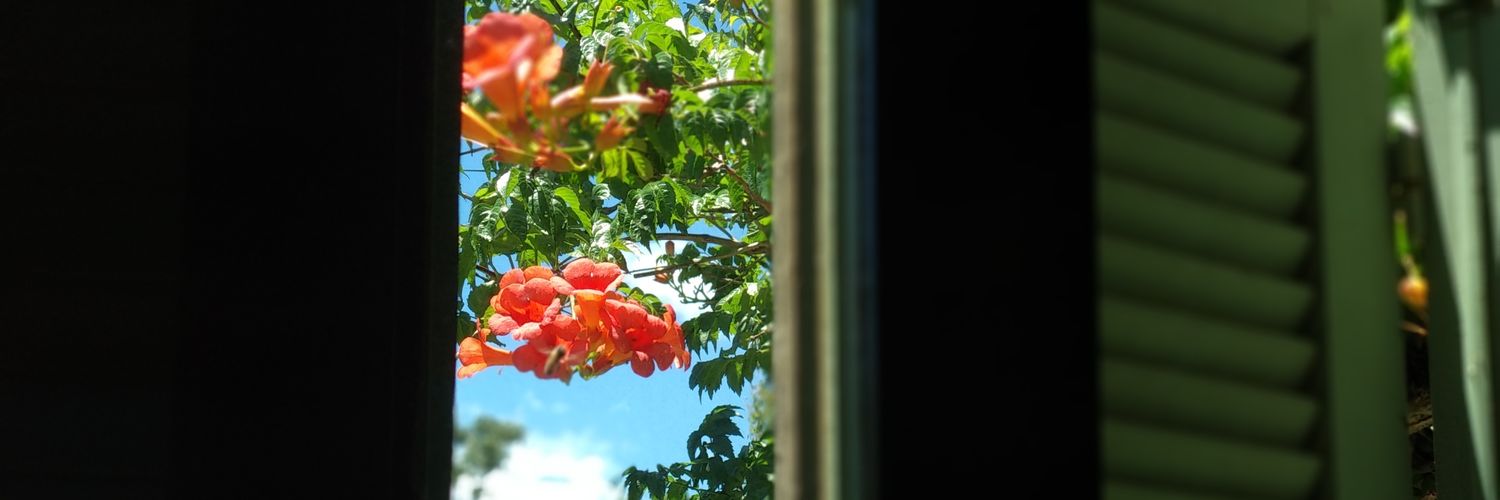 mauczi's profile banner image