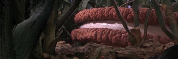 googleymoogley Profile Banner