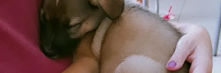 Belaa__7's profile banner image