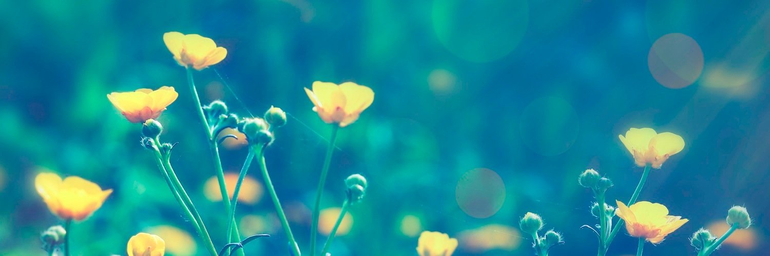 glamadelaide's profile banner image