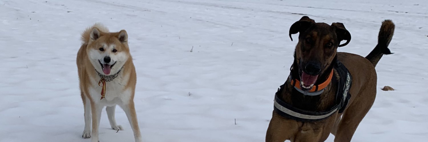 kikepastt's profile banner image