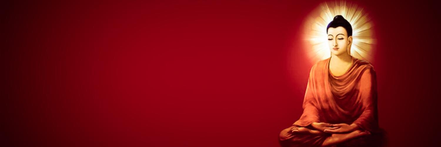 dnrrlqkr's profile banner image