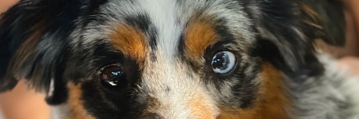 CarsynJadee's profile banner image
